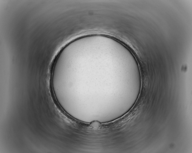 X0000100221508200806131303