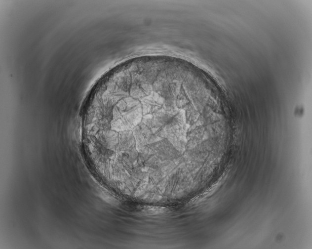 X0000100221509200806131303