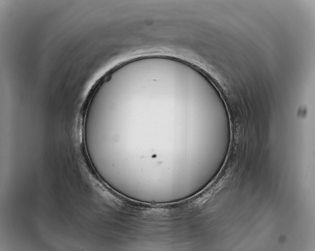 X0000100221510200806131303