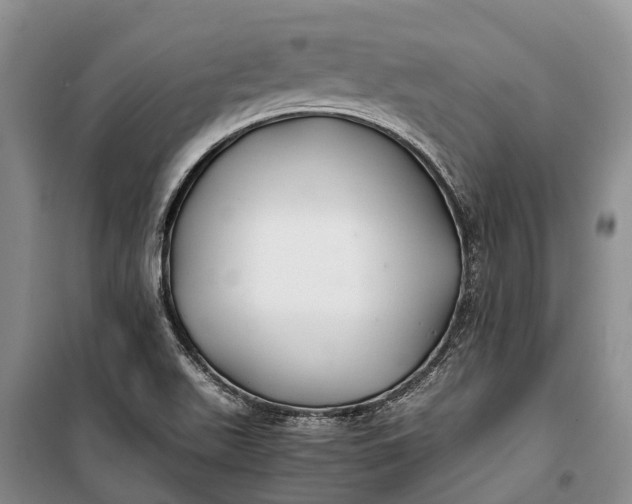 X0000100221511200806131303