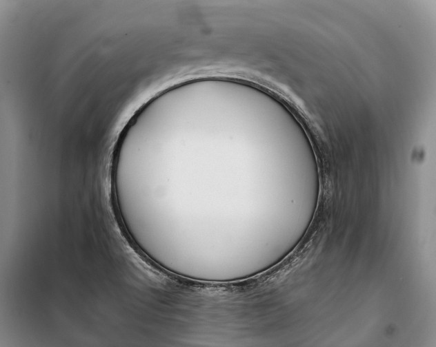 X0000100221512200806131303