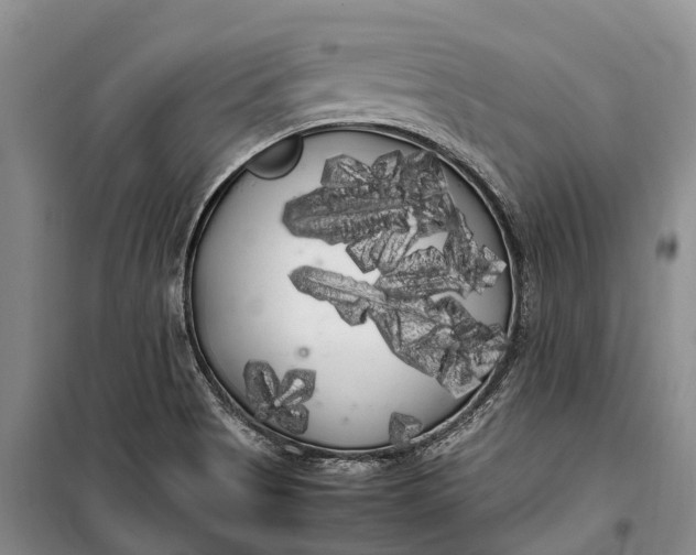 X0000100221513200806131303