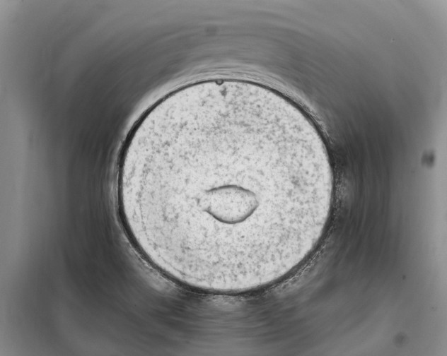 X0000100221514200806131303