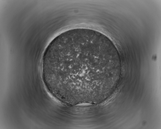 X0000100221515200806131303