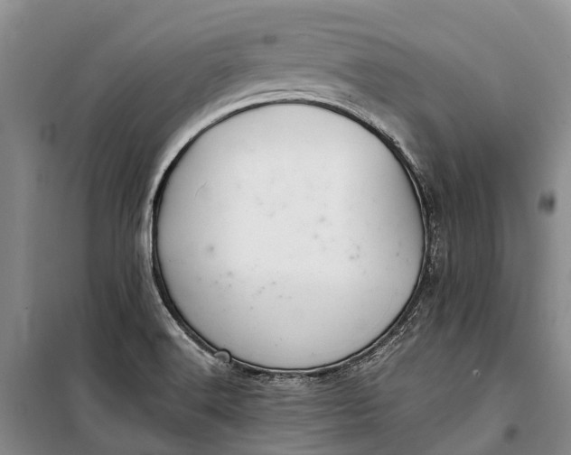 X0000100221516200806131303