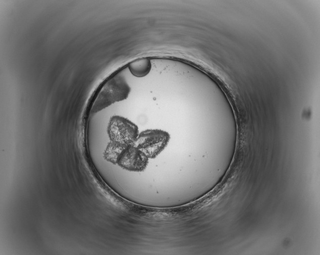 X0000100221517200806131303