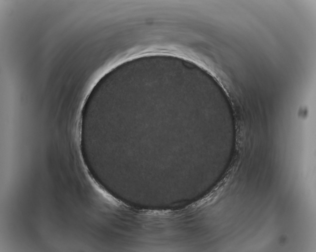 X0000100221519200806131303