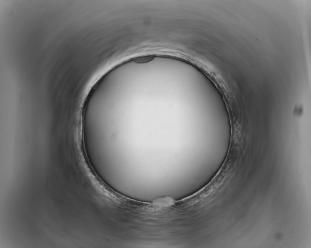 X0000100221520200806131303