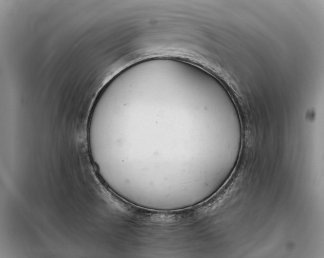 X0000100221521200806131303