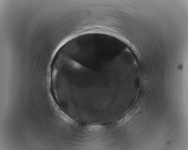 X0000100221522200806131303