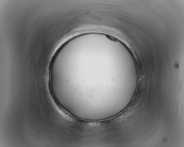 X0000100221523200806131303