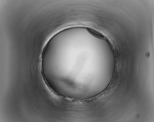 X0000100221524200806131303