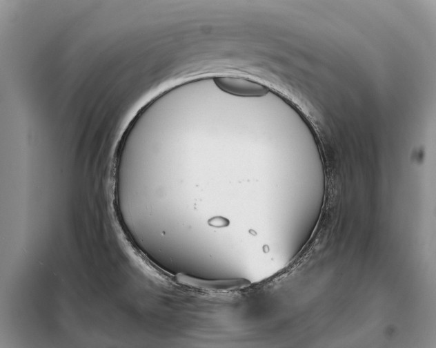 X0000100221526200806131303