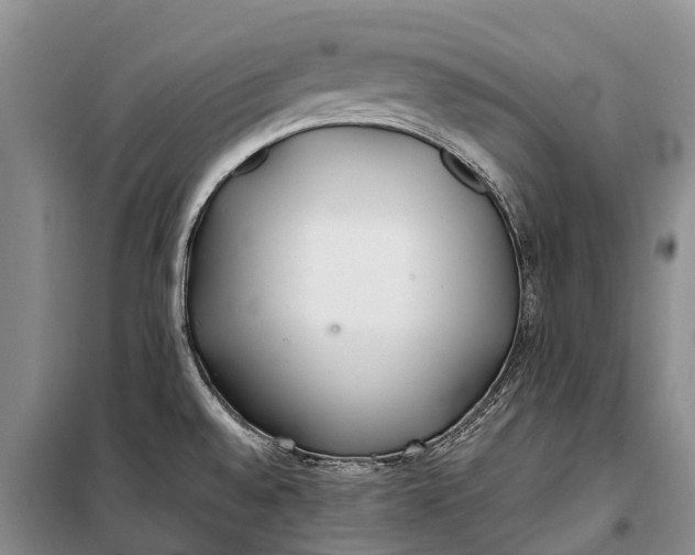 X0000100221528200806131303