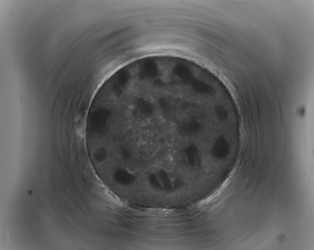 X0000100221529200806131303