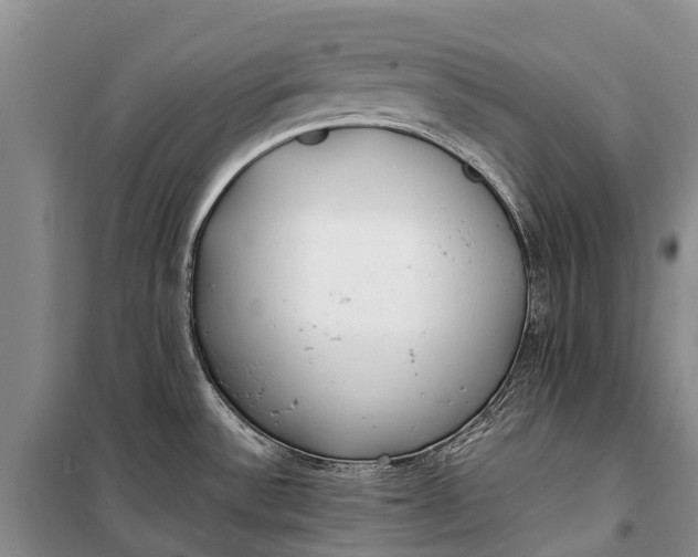 X0000100221532200806131303