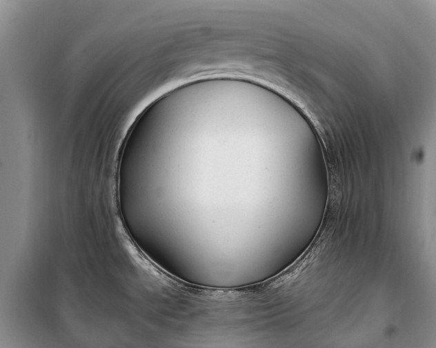 X0000100221534200806131303