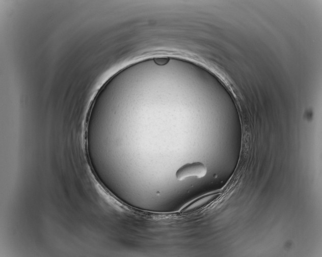 X0000100221535200806131303