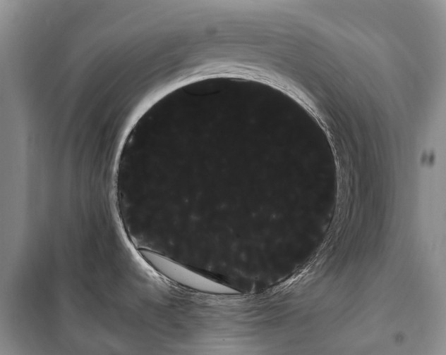 X0000100221536200806131303