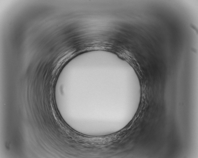 X0000100220001200806201519