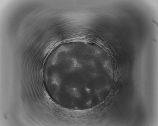 X0000100220002200806201519