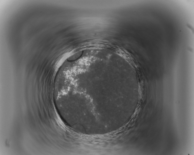 X0000100220003200806201519