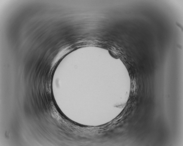 X0000100220004200806201519