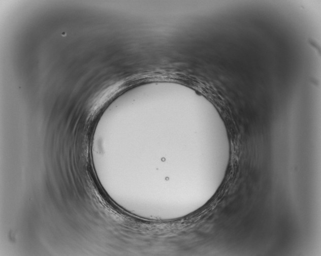 X0000100220005200806201519