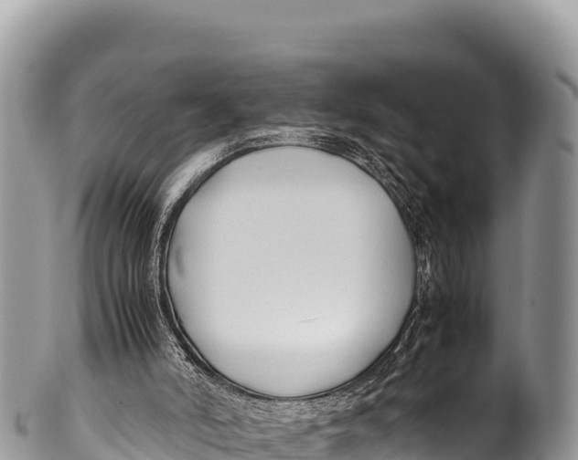 X0000100220006200806201519