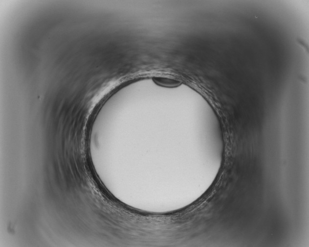 X0000100220008200806201519