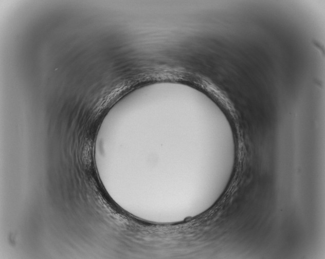 X0000100220009200806201518