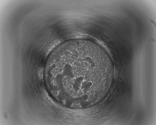 X0000100220010200806201518