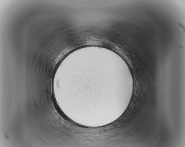 X0000100220011200806201518