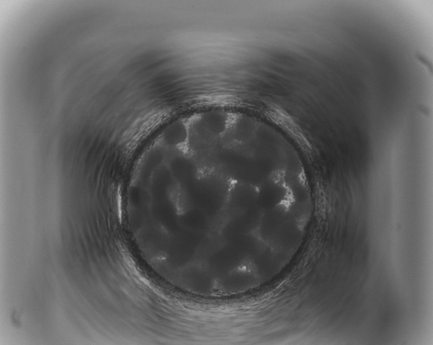 X0000100220014200806201518