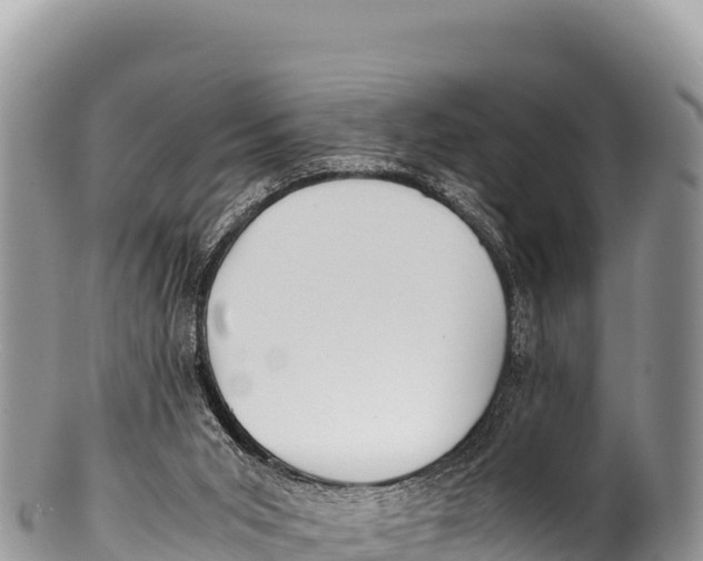 X0000100220015200806201518