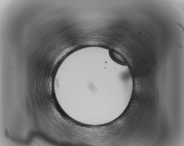 X0000100220016200806201518