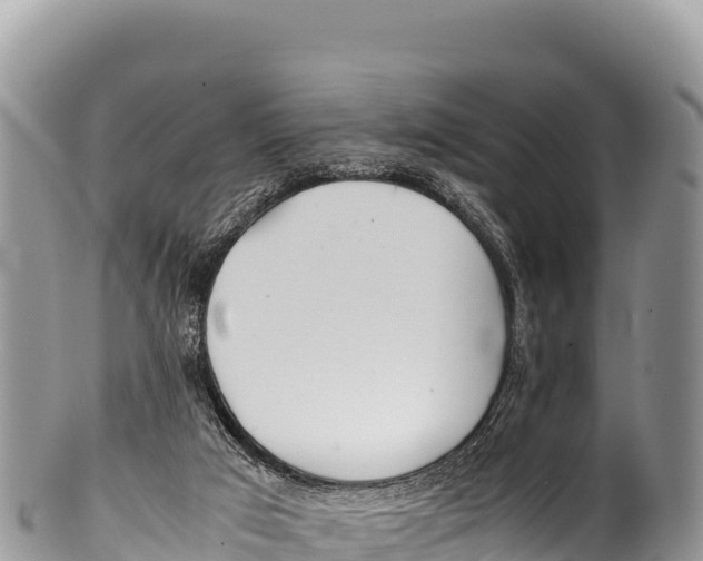 X0000100220017200806201518