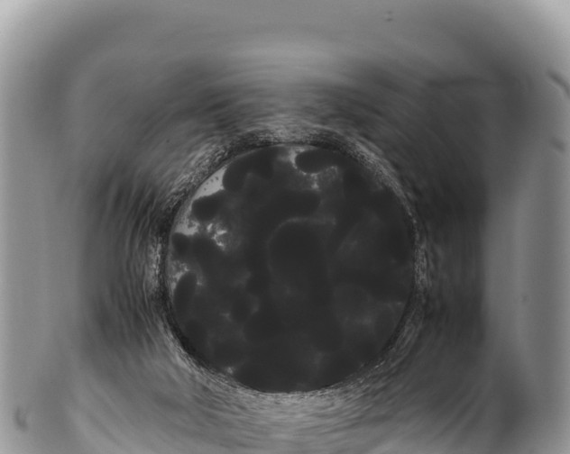 X0000100220018200806201518