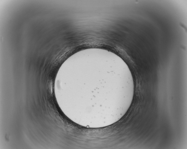 X0000100220021200806201518