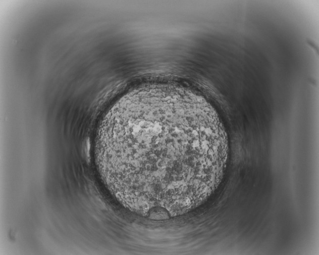 X0000100220022200806201518