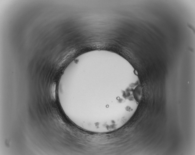 X0000100220024200806201518