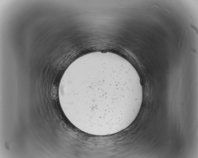 X0000100220025200806201518