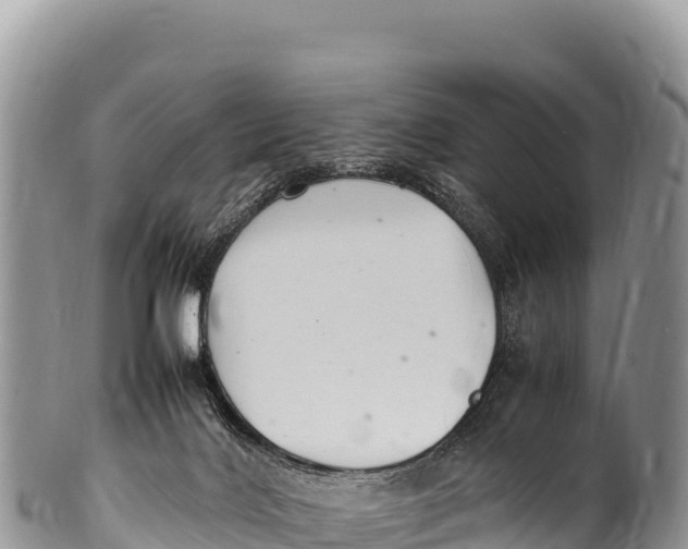 X0000100220028200806201518