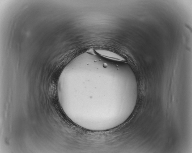 X0000100220029200806201518