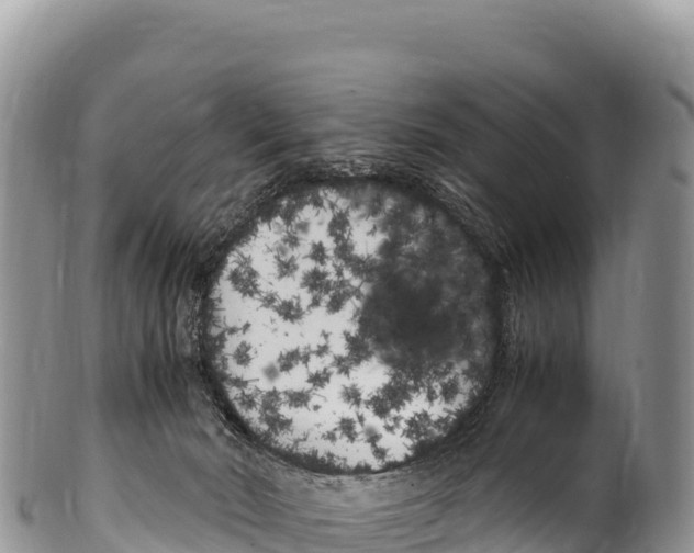 X0000100220030200806201518