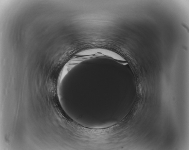 X0000100220031200806201518