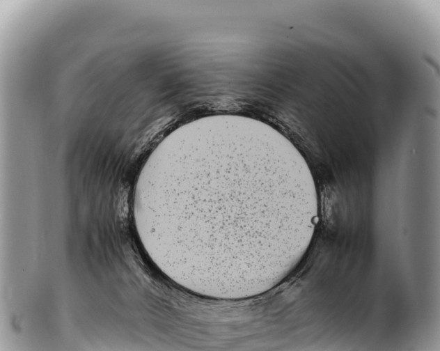 X0000100220032200806201518