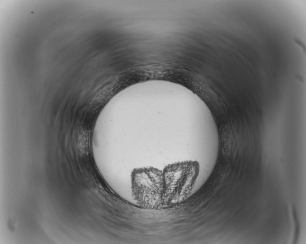 X0000100220034200806201518