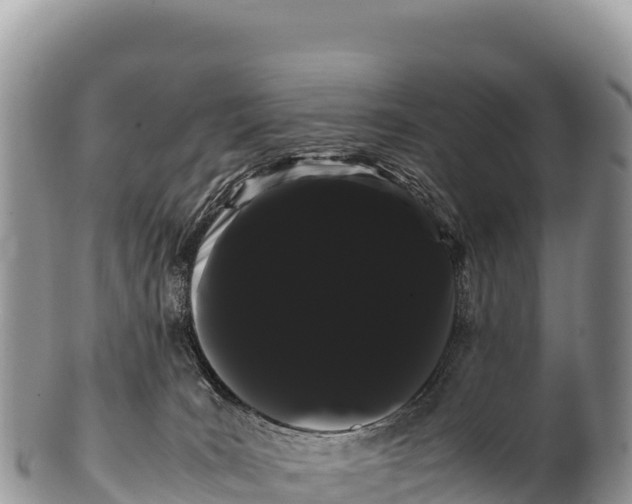 X0000100220035200806201518