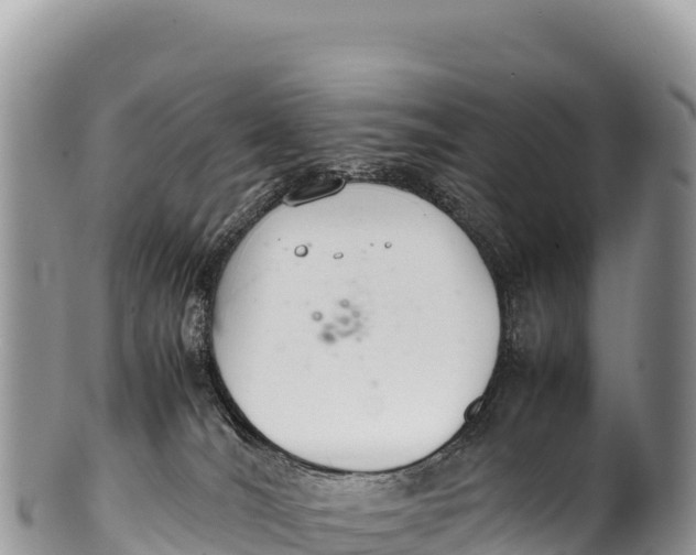 X0000100220036200806201518